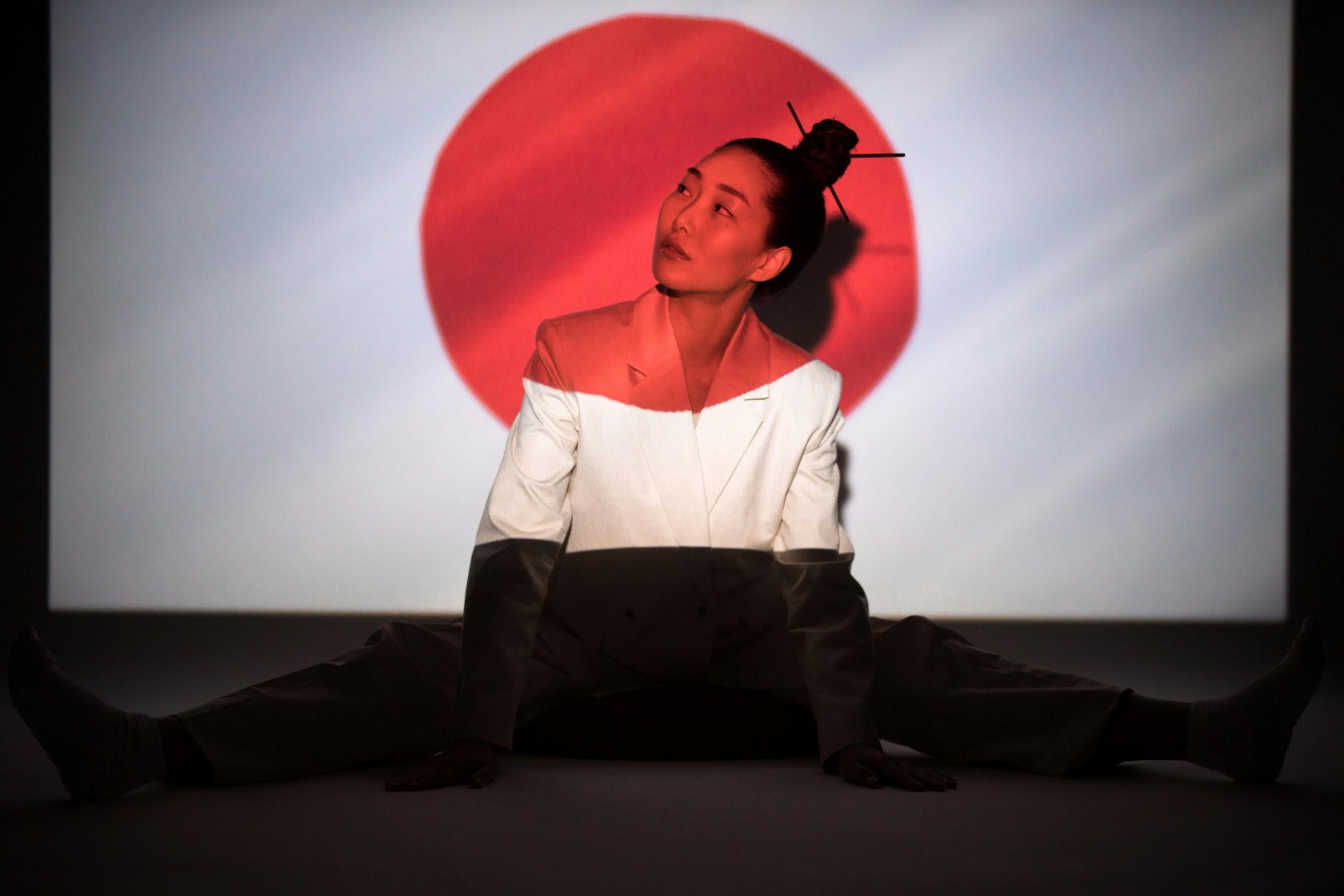 Japonya'ya Nasıl Vize Alabilirim
